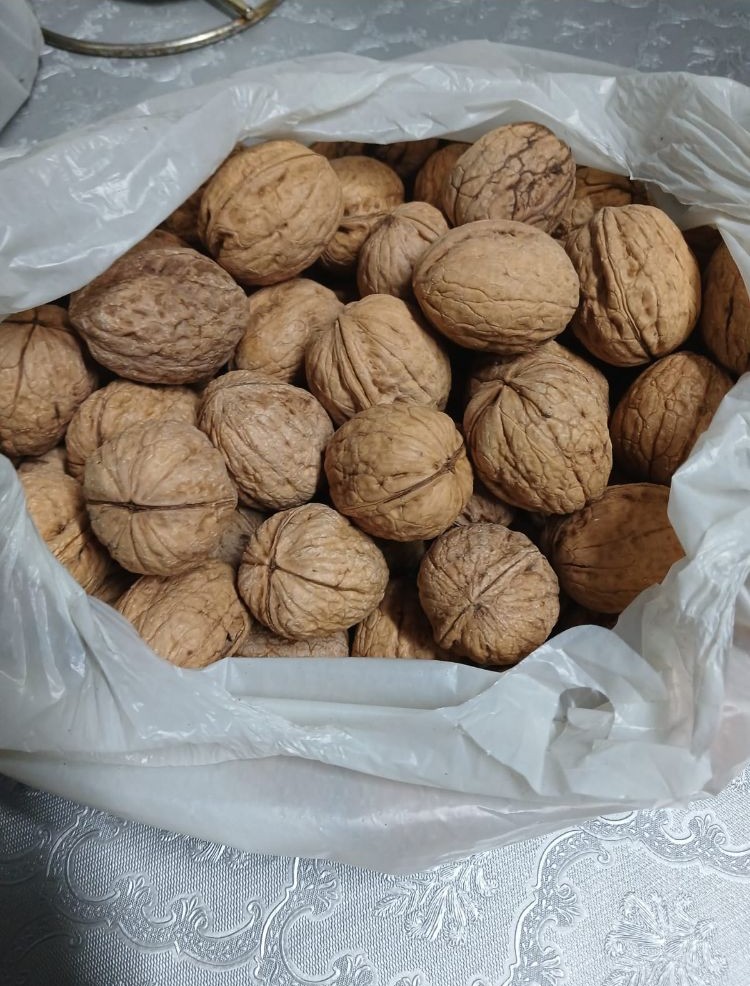 Chendlar Cinsi Ceviz